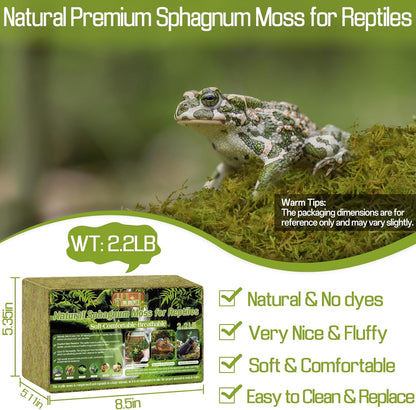 9 OZ Sphagnum Moss for Reptiles - Green Terrarium Moss | Expands to 14 QT, Reptile Bedding for Snakes, Tortoises, Geckos & Lizards, Humidity Retention & Temperature Buffering