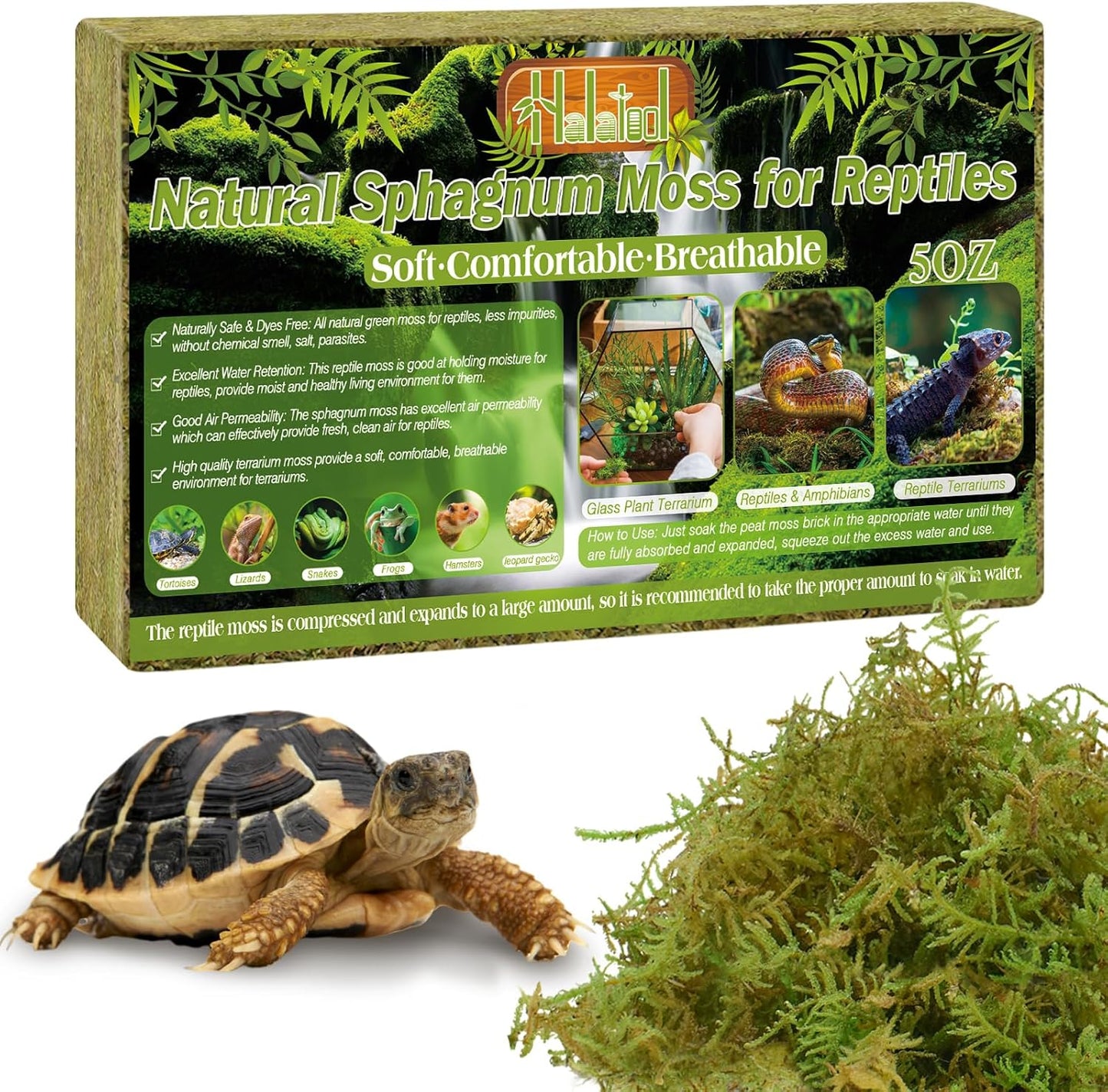 9 OZ Sphagnum Moss for Reptiles - Green Terrarium Moss | Expands to 14 QT, Reptile Bedding for Snakes, Tortoises, Geckos & Lizards, Humidity Retention & Temperature Buffering