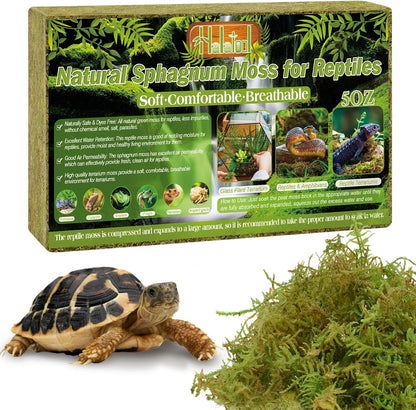 9 OZ Sphagnum Moss for Reptiles - Green Terrarium Moss | Expands to 14 QT, Reptile Bedding for Snakes, Tortoises, Geckos & Lizards, Humidity Retention & Temperature Buffering