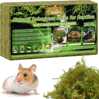 9 OZ Sphagnum Moss for Reptiles - Green Terrarium Moss | Expands to 14 QT, Reptile Bedding for Snakes, Tortoises, Geckos & Lizards, Humidity Retention & Temperature Buffering