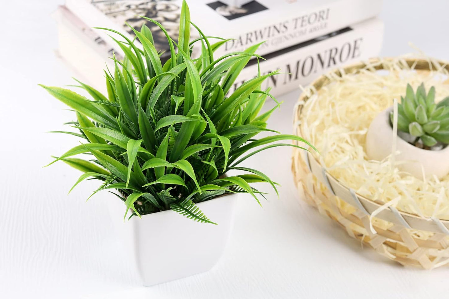2 Pack Fake Plants Small Plants for Bathroom Office Decor | Mini cute faux plants, table desk home laundry room entryway decor, bathroom classroom decor, maintenance-free