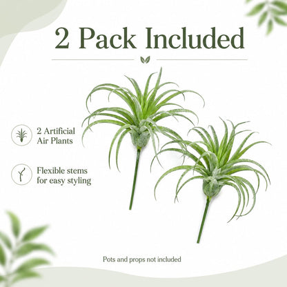 2 Pack Artificial Air Plants, Realistic Looking Faux Tillandsia Succulents Plants for Home Decor, Indoor Outdoor Garden, Terrarium, Office Desk, Wedding Displays (Green)