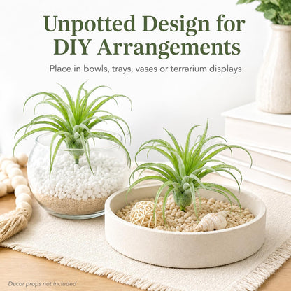 2 Pack Artificial Air Plants, Realistic Looking Faux Tillandsia Succulents Plants for Home Decor, Indoor Outdoor Garden, Terrarium, Office Desk, Wedding Displays (Green)