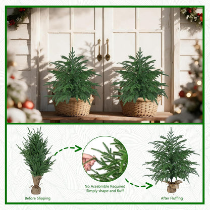Grooy 2 Pack 3FT Artificial Norfolk Pine Tree with Pot - UV Protection Faux Tree Fake Plants with PE Branch for Indoor Outdoor Home Front Porch Christmas Decor