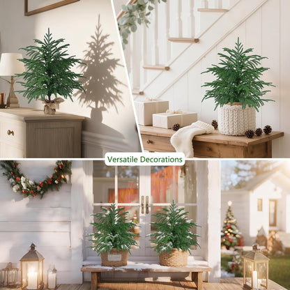 Grooy 2 Pack 3FT Artificial Norfolk Pine Tree with Pot - UV Protection Faux Tree Fake Plants with PE Branch for Indoor Outdoor Home Front Porch Christmas Decor