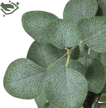 6FT Tall Fake Eucalyptus Plant, Green Silver Dollar Leaves Faux Tree, Artificial Eucalyptus Tree Potted Silk Faux Eucalyptus Tree for Home Office Livingroom Floor Decor Indoor (1, White, 6FT)