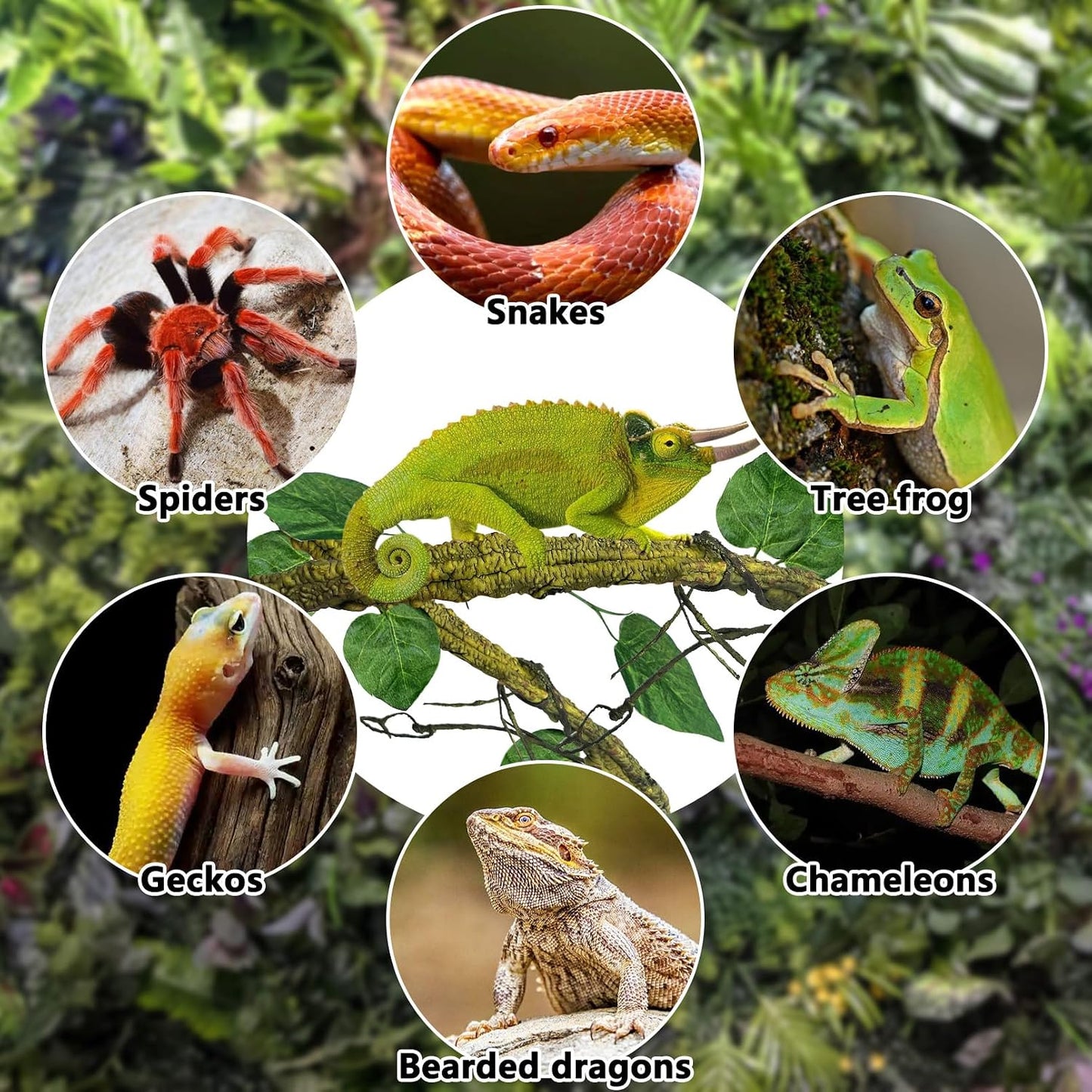 Extra Large Reptile Vines Thick Terrarium Plants 78 Inches Long Flexible Climbing Branch with Leaves Snake Tank Accessories Greenery Habitat Decor for Bearded Dragon Chameleon Gecko Lizard
