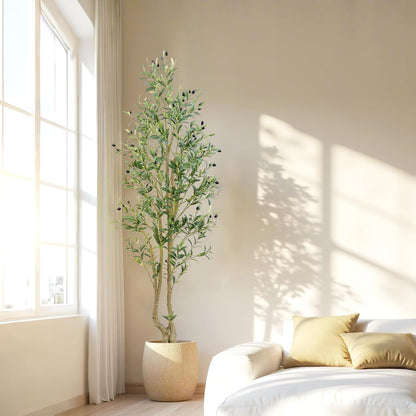 6ft Artificial Olive Tree Indoor, Fake Olive Tree with White Pot, Faux Olive Tree with Dense Leaves & Realistic Fruits, Tall Artificial Plant for Home Living Room Office Entryway Decor