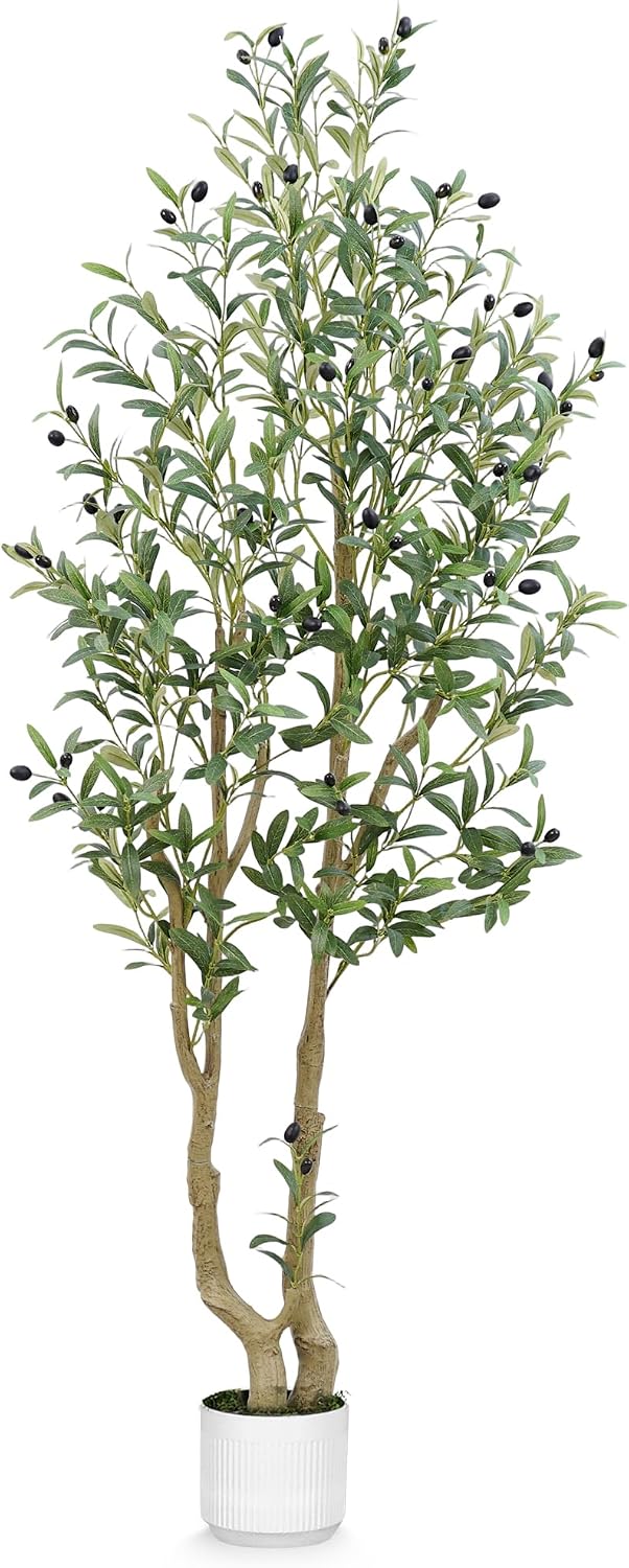 6ft Artificial Olive Tree Indoor, Fake Olive Tree with White Pot, Faux Olive Tree with Dense Leaves & Realistic Fruits, Tall Artificial Plant for Home Living Room Office Entryway Decor