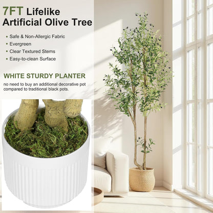 6ft Artificial Olive Tree Indoor, Fake Olive Tree with White Pot, Faux Olive Tree with Dense Leaves & Realistic Fruits, Tall Artificial Plant for Home Living Room Office Entryway Decor