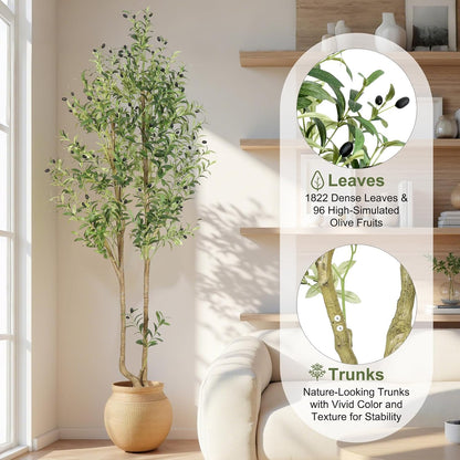 6ft Artificial Olive Tree Indoor, Fake Olive Tree with White Pot, Faux Olive Tree with Dense Leaves & Realistic Fruits, Tall Artificial Plant for Home Living Room Office Entryway Decor