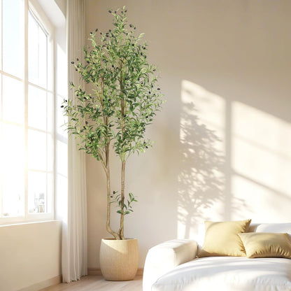 6ft Artificial Olive Tree Indoor, Fake Olive Tree with White Pot, Faux Olive Tree with Dense Leaves & Realistic Fruits, Tall Artificial Plant for Home Living Room Office Entryway Decor