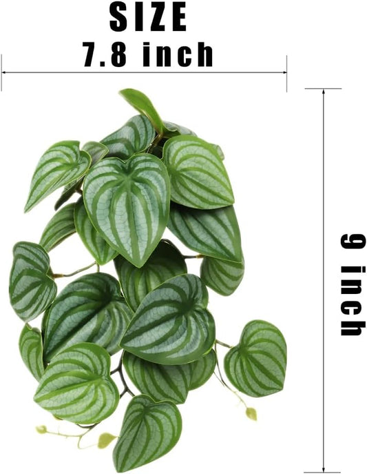 Fake Calathea Orbifolia, Reptile Terrarium Suction Plants