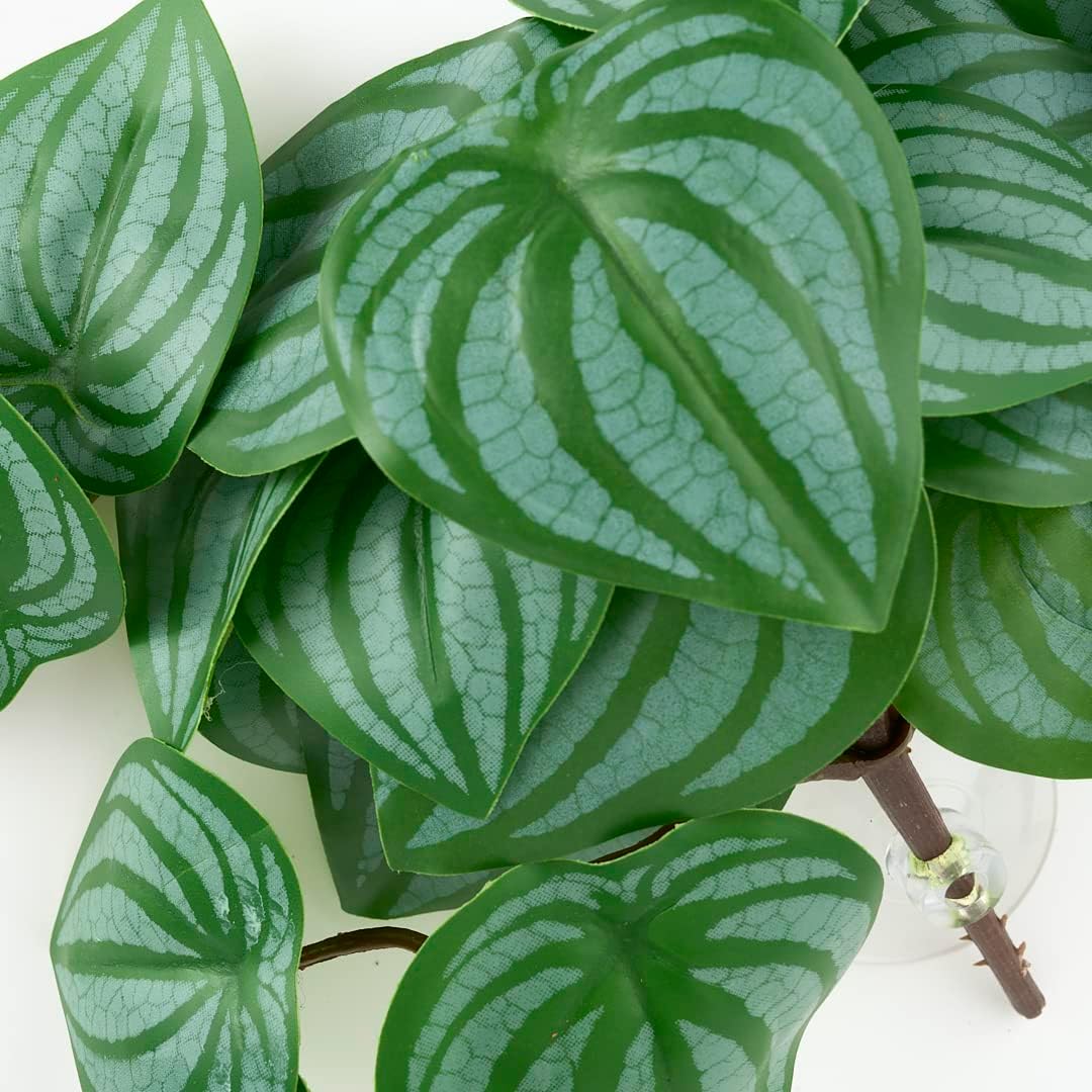 Fake Calathea Orbifolia, Reptile Terrarium Suction Plants