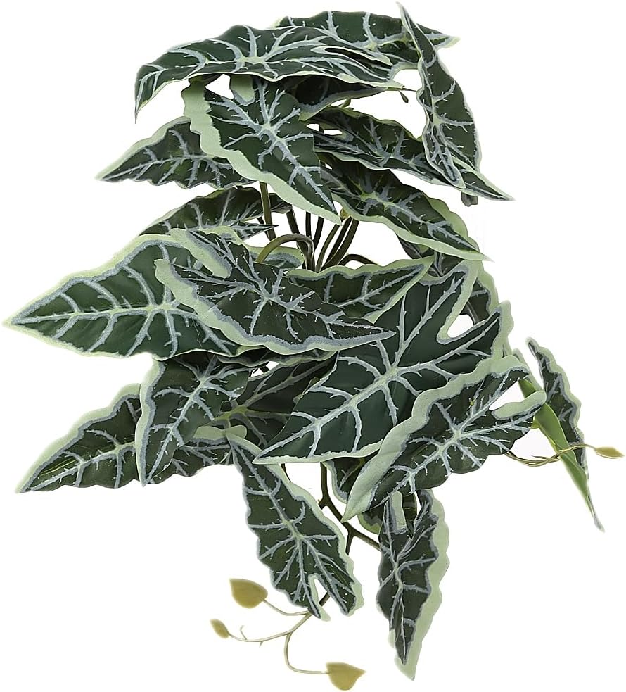 Fake Calathea Orbifolia, Reptile Terrarium Suction Plants