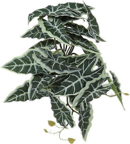 Fake Calathea Orbifolia, Reptile Terrarium Suction Plants