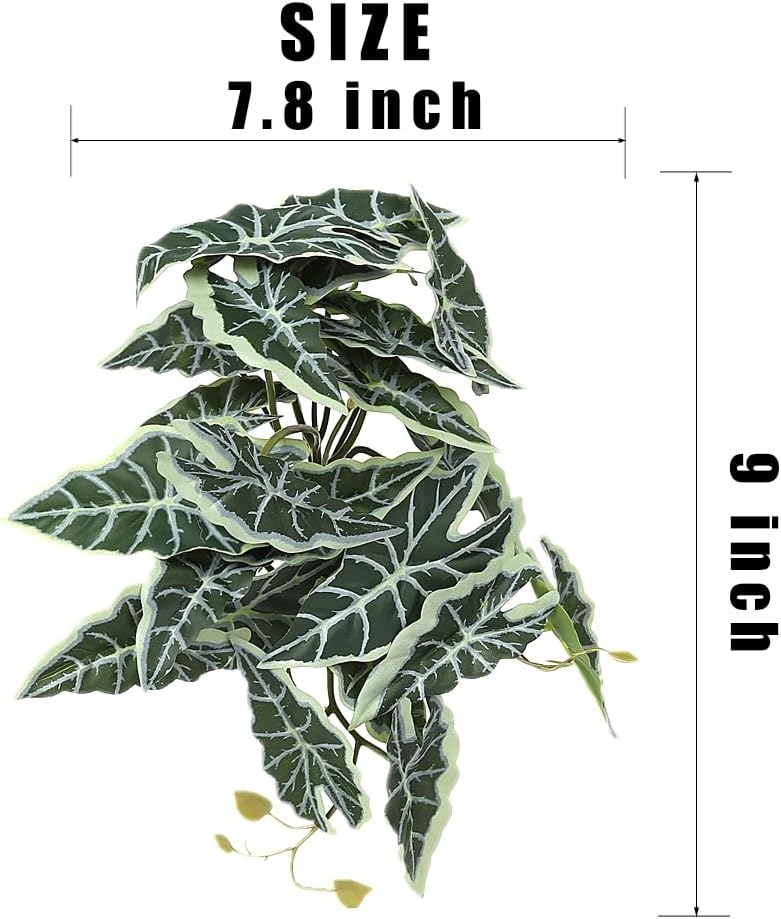 Fake Calathea Orbifolia, Reptile Terrarium Suction Plants