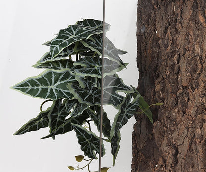 Fake Calathea Orbifolia, Reptile Terrarium Suction Plants