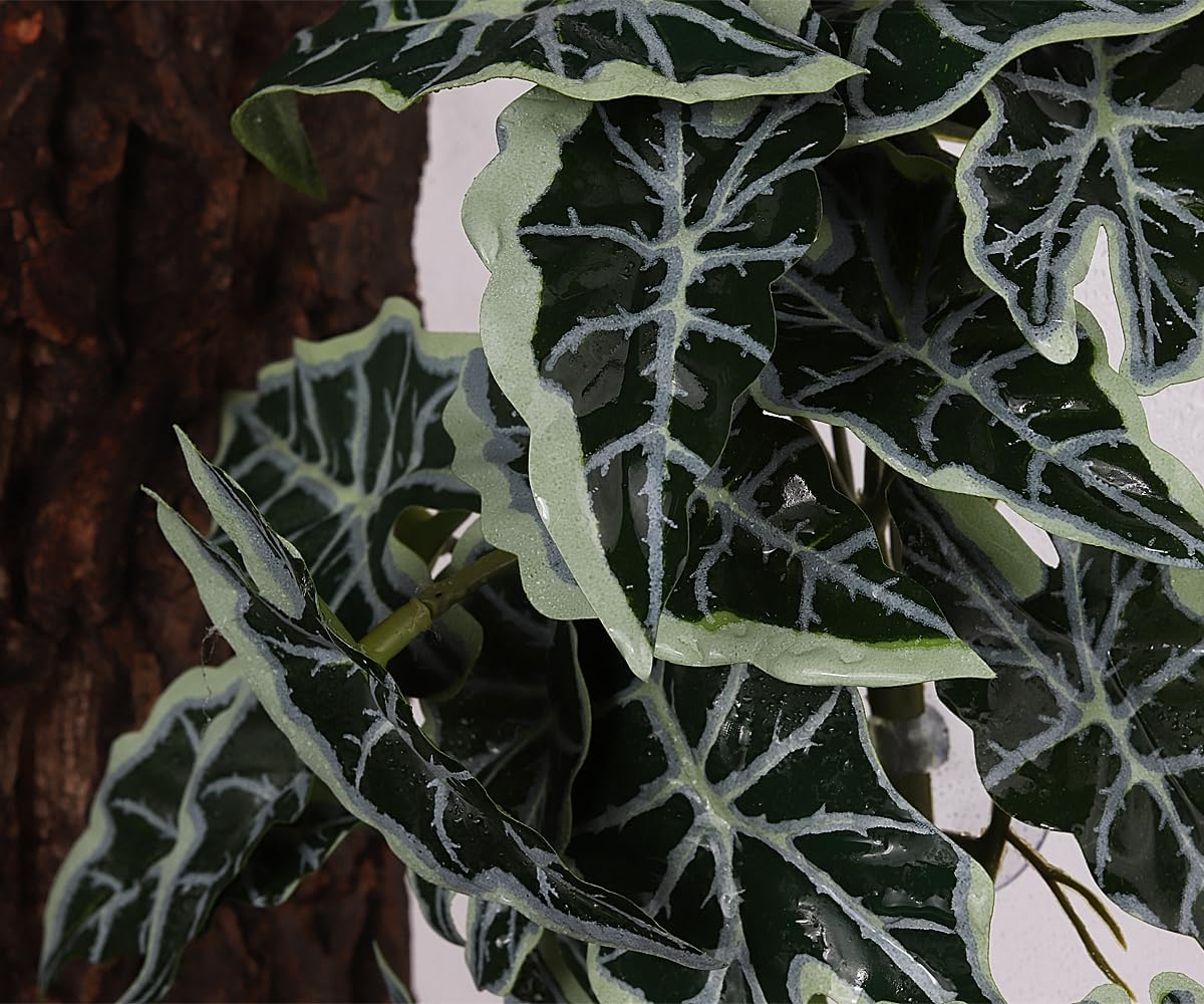 Fake Calathea Orbifolia, Reptile Terrarium Suction Plants
