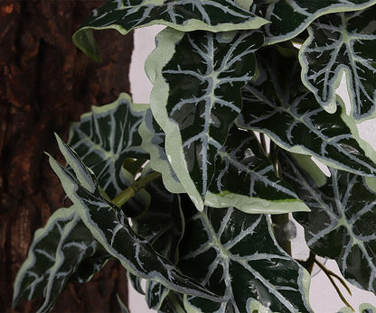 Fake Calathea Orbifolia, Reptile Terrarium Suction Plants