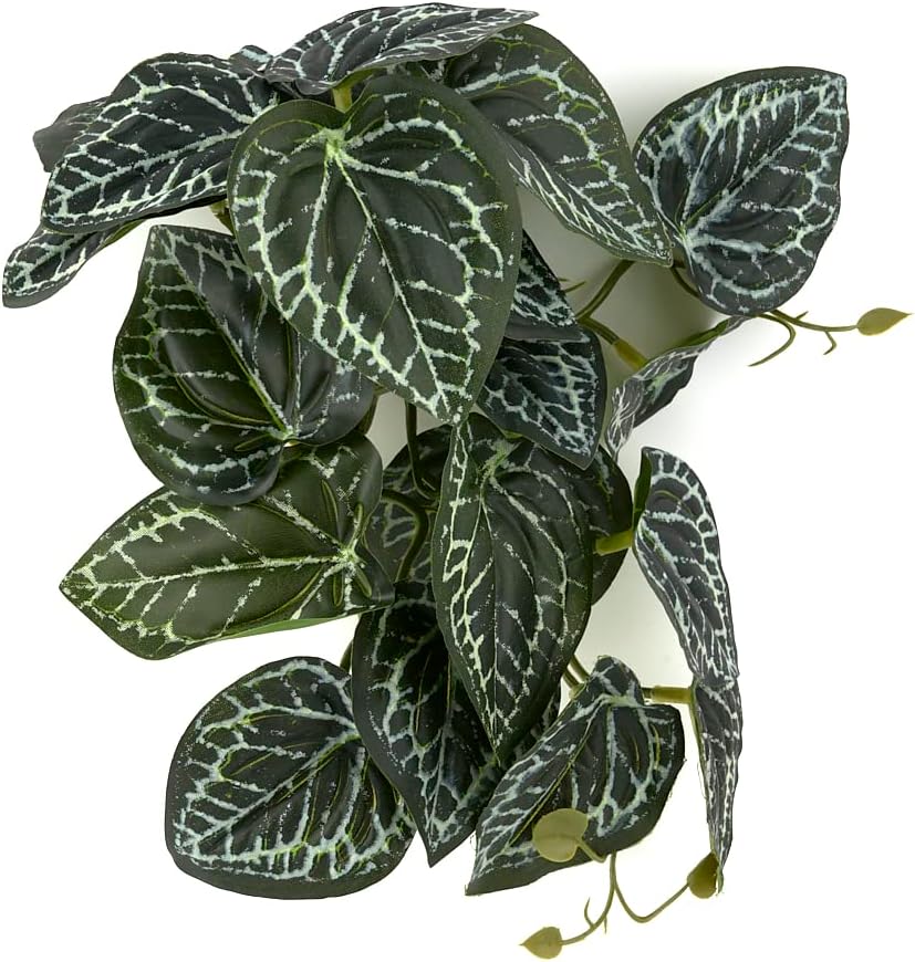 Fake Calathea Orbifolia, Reptile Terrarium Suction Plants
