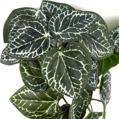 Fake Calathea Orbifolia, Reptile Terrarium Suction Plants