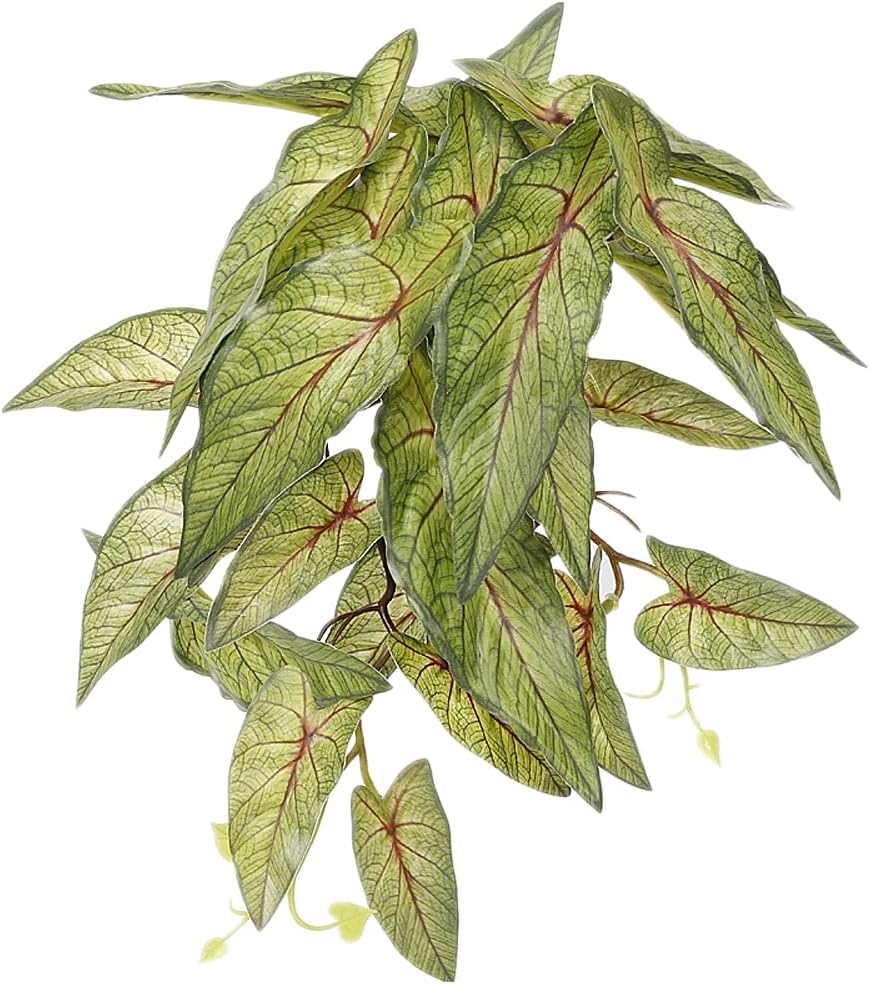 Fake Calathea Orbifolia, Reptile Terrarium Suction Plants
