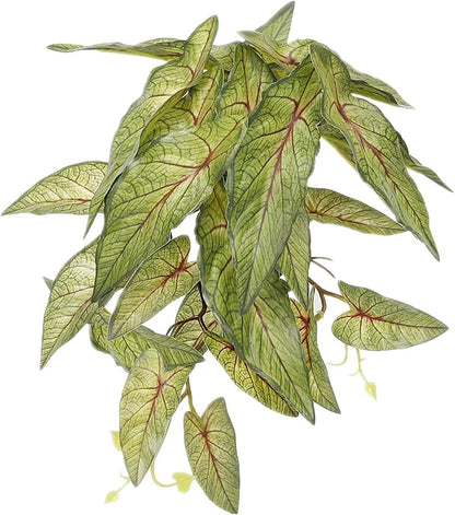 Fake Calathea Orbifolia, Reptile Terrarium Suction Plants