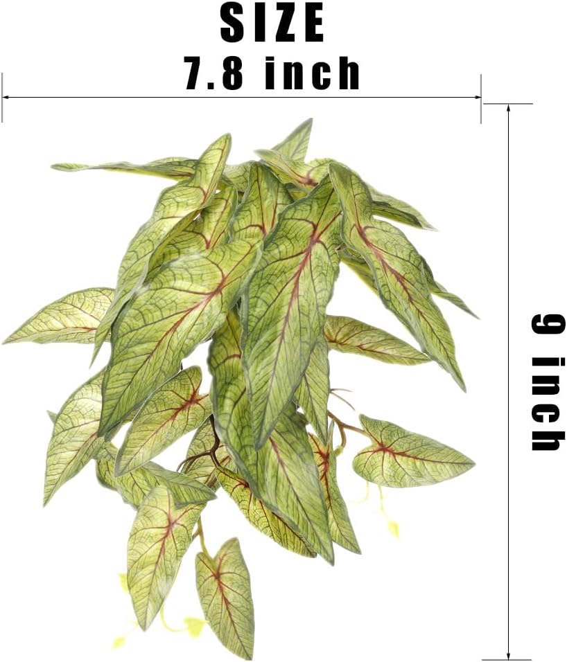 Fake Calathea Orbifolia, Reptile Terrarium Suction Plants