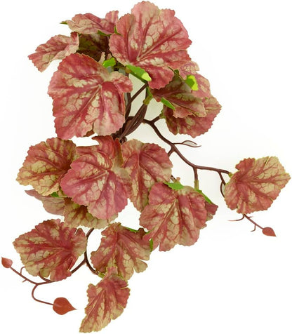 Fake Calathea Orbifolia, Reptile Terrarium Suction Plants