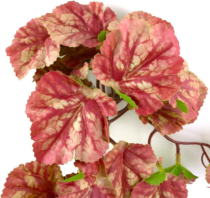 Fake Calathea Orbifolia, Reptile Terrarium Suction Plants