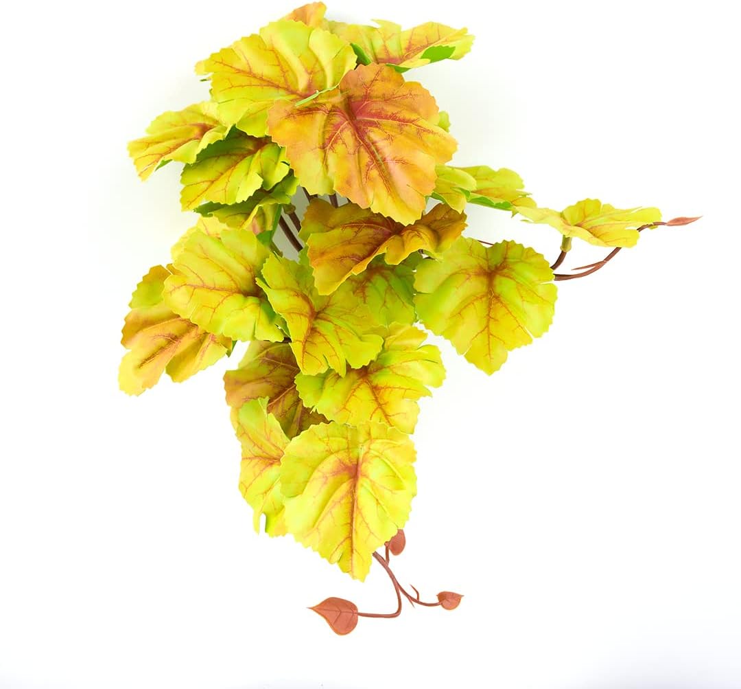 Fake Calathea Orbifolia, Reptile Terrarium Suction Plants