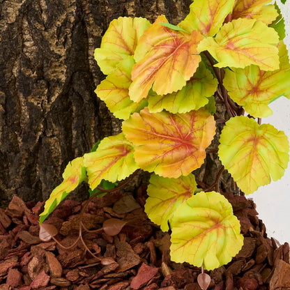 Fake Calathea Orbifolia, Reptile Terrarium Suction Plants
