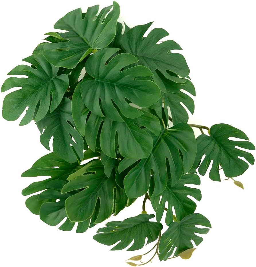Fake Calathea Orbifolia, Reptile Terrarium Suction Plants