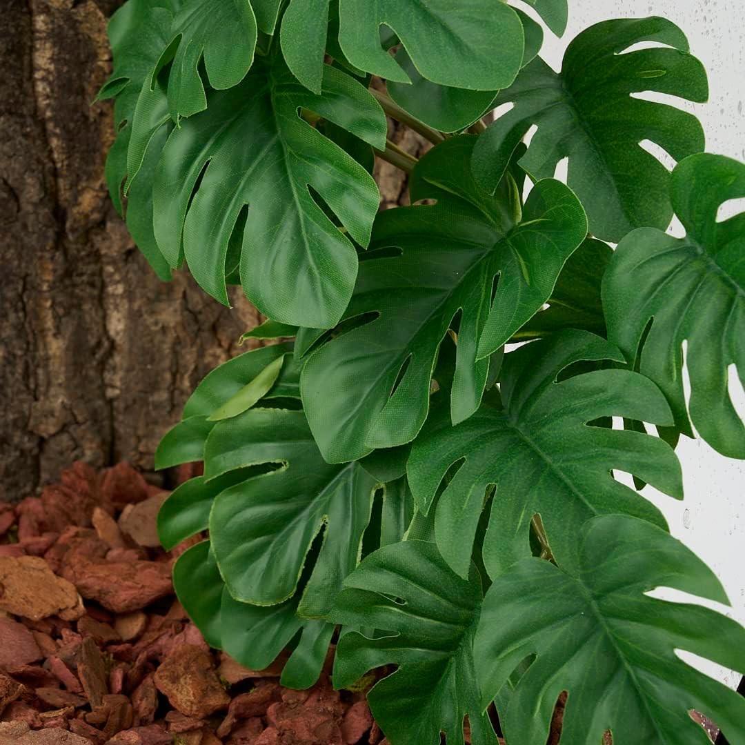 Fake Calathea Orbifolia, Reptile Terrarium Suction Plants