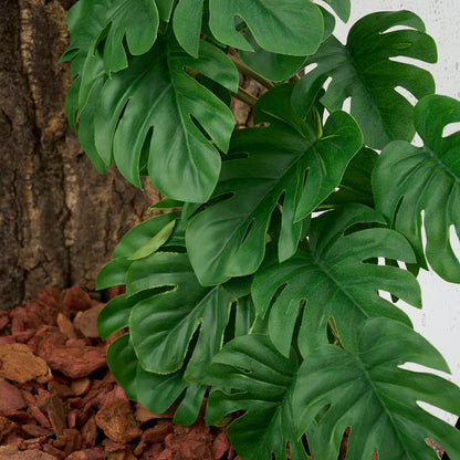 Fake Calathea Orbifolia, Reptile Terrarium Suction Plants
