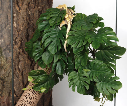 Fake Calathea Orbifolia, Reptile Terrarium Suction Plants