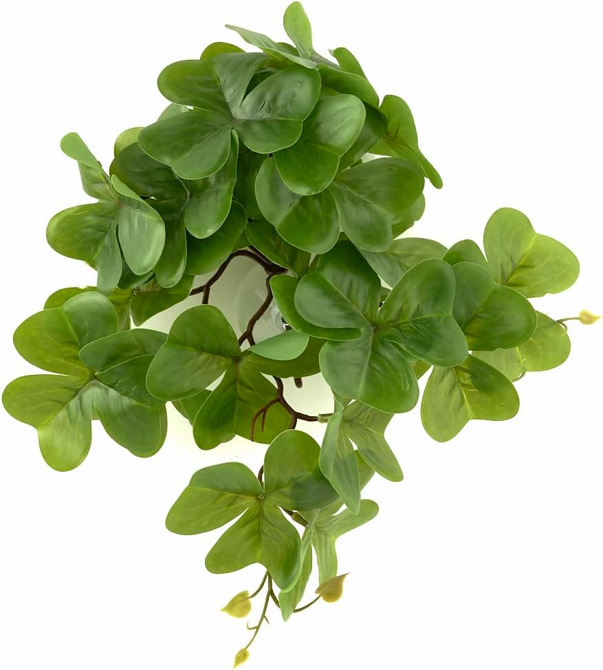 Fake Calathea Orbifolia, Reptile Terrarium Suction Plants