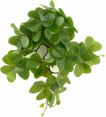 Fake Calathea Orbifolia, Reptile Terrarium Suction Plants