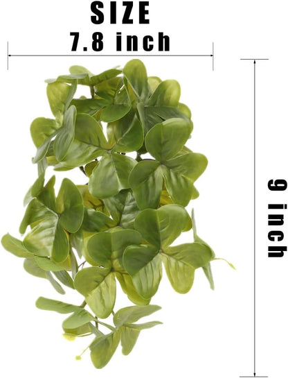 Fake Calathea Orbifolia, Reptile Terrarium Suction Plants