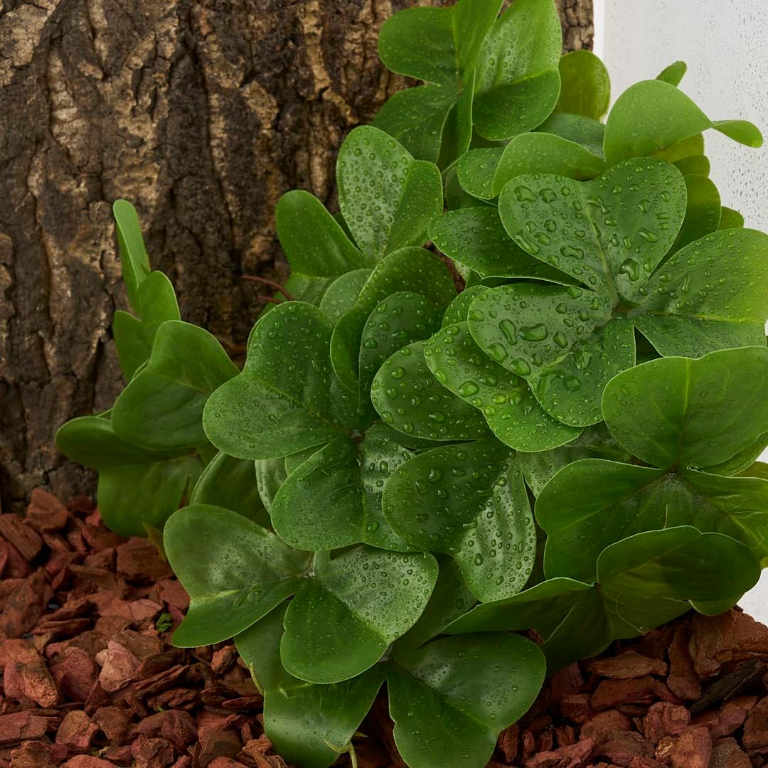 Fake Calathea Orbifolia, Reptile Terrarium Suction Plants
