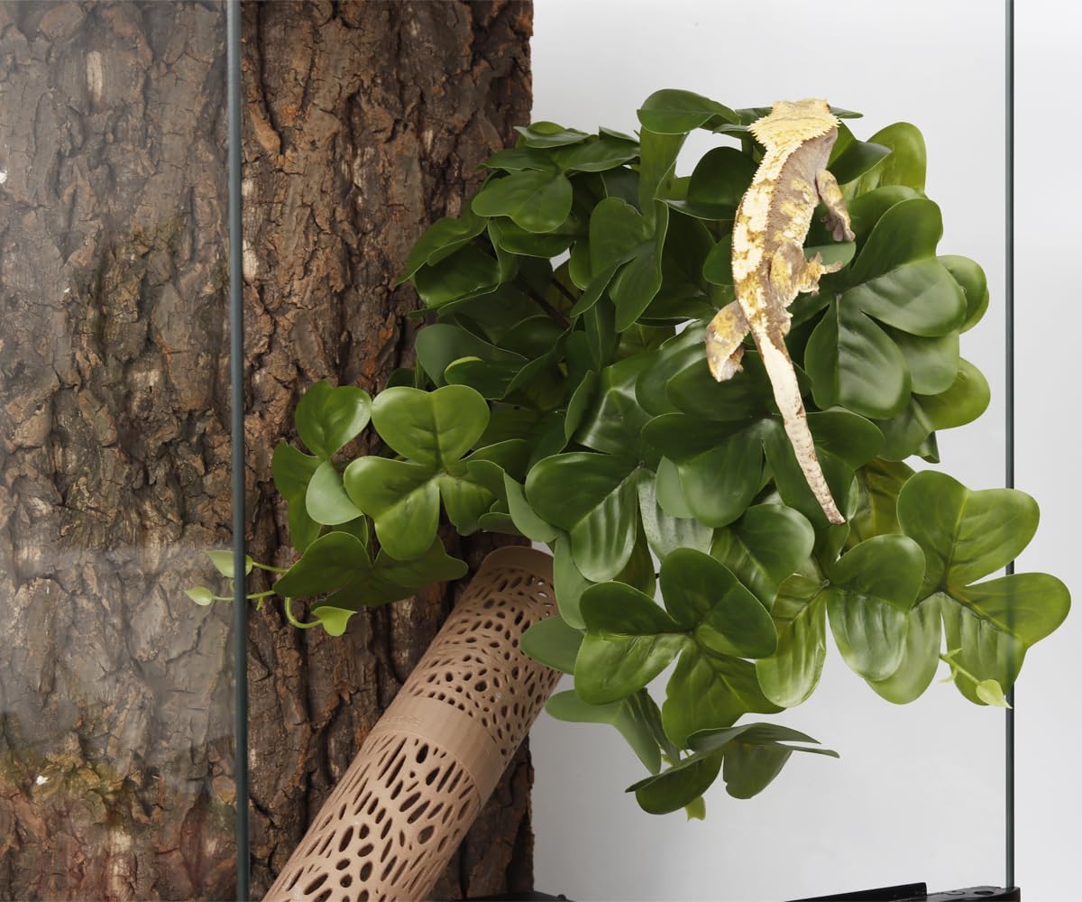 Fake Calathea Orbifolia, Reptile Terrarium Suction Plants
