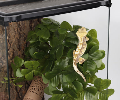 Fake Calathea Orbifolia, Reptile Terrarium Suction Plants