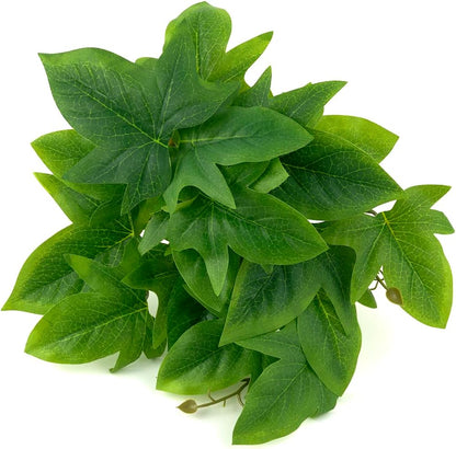 Fake Calathea Orbifolia, Reptile Terrarium Suction Plants