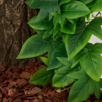 Fake Calathea Orbifolia, Reptile Terrarium Suction Plants