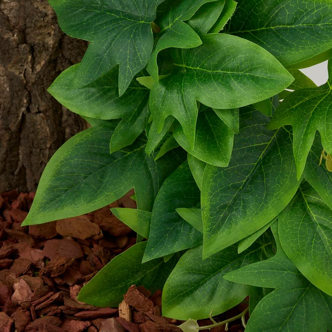 Fake Calathea Orbifolia, Reptile Terrarium Suction Plants