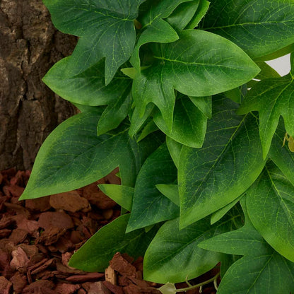 Fake Calathea Orbifolia, Reptile Terrarium Suction Plants