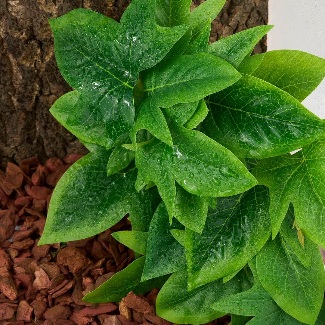 Fake Calathea Orbifolia, Reptile Terrarium Suction Plants