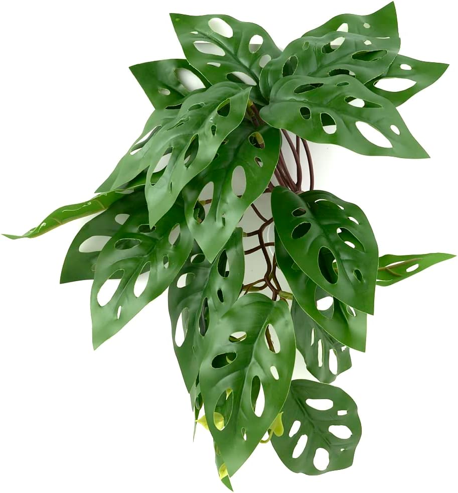 Fake Calathea Orbifolia, Reptile Terrarium Suction Plants