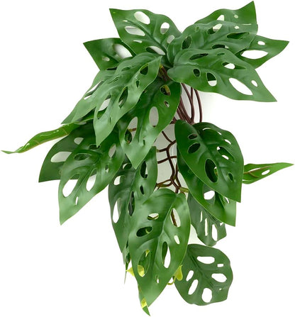 Fake Calathea Orbifolia, Reptile Terrarium Suction Plants